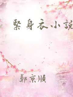 紧身衣小说