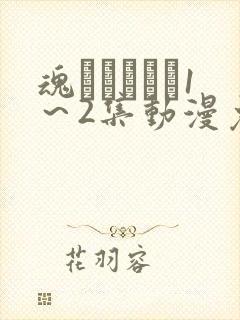 魂インサート1～2集动漫免费