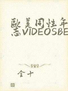 欧美同性年轻同志VIDEOSBEST