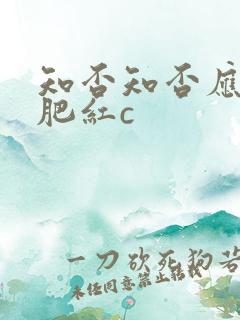 知否知否应是绿肥红c
