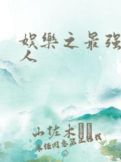 娱乐之最强经纪人