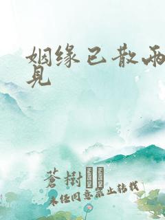 姻缘已散两不相见