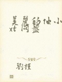 美丽的他小说txt 网盘