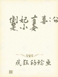 侧妃有喜:公主是小妾