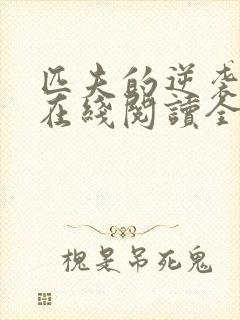 匹夫的逆袭小说在线阅读全文