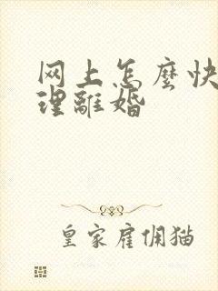 网上怎么快速办理离婚