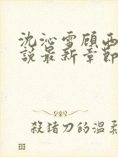 沈沁雪顾西朝小说最新章节免费阅读