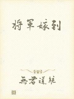 将军嫁到