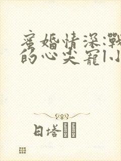 蜜婚情深:战少的心尖宠l小说
