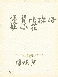 优质rb攻略系统小花