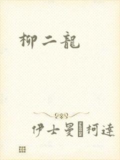 柳二龙