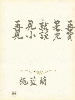 再见就是再也不见小说免费阅读全文