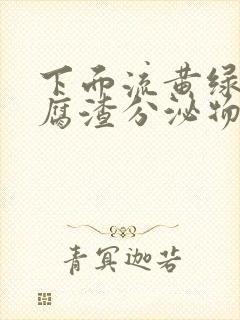 下面流黄绿色豆腐渣分泌物