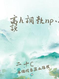 高h调教np小说