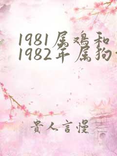 1981属鸡和1982年属狗能不能结婚