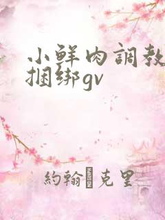 小鲜肉调教失禁捆绑gv