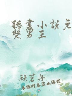 听书小说免费听双男主