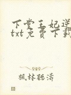 下堂王妃逆袭记txt免费下载