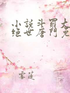 小说斗罗大陆2绝世唐门免费阅读