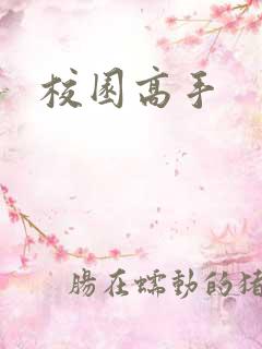 校园高手