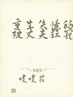 重生失忆的我,被丈夫狂宠