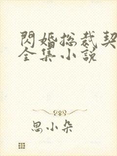 闪婚总裁契约妻全集小说