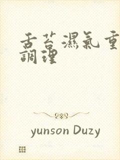 舌苔湿气重怎么调理