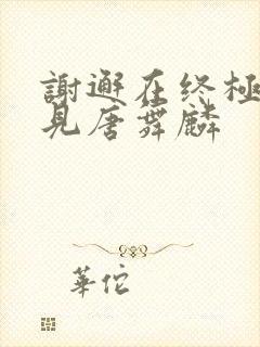 谢邂在终极斗罗见唐舞麟