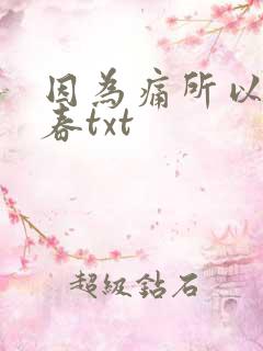 因为痛所以叫青春txt