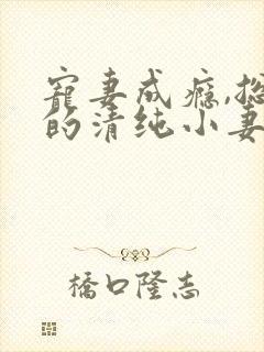 宠妻成瘾,总裁的清纯小妻