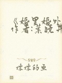 《婚里婚外》 作者:叶晓井