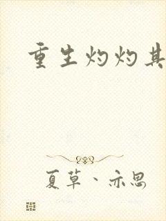 重生灼灼其华