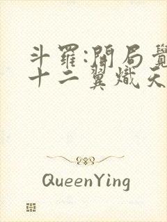 斗罗:开局觉醒十二翼炽天使小说