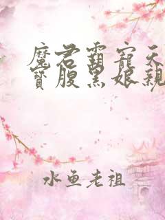 魔君霸宠天才萌宝腹黑娘亲