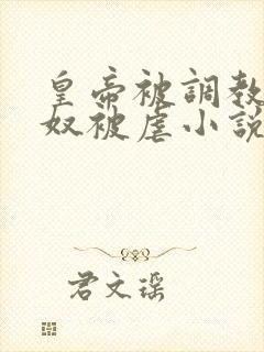 皇帝被调教成贱奴被虐小说