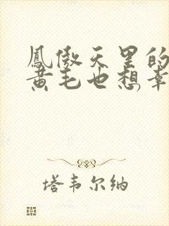 凤傲天里的反派黄毛也想幸福小说