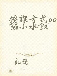 授课方式po肉馅小水饺