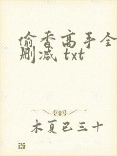 偷香高手全文无删减 txt