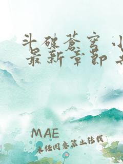 斗破苍穹 小说 最新章节 无弹窗