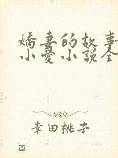 娇妻的故事吴勇小爱小说全文阅读