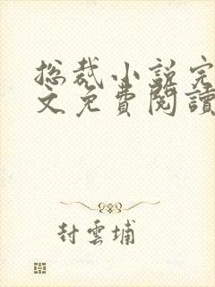 总裁小说完结全文免费阅读全文