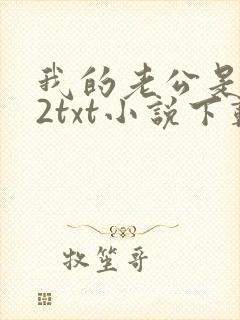 我的老公是冥王2txt小说下载