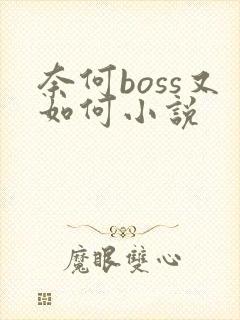 奈何boss又如何小说