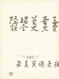 陆昭菱晋王的小说全文免费阅读最新章节