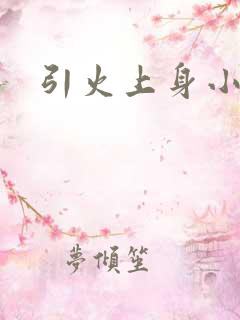 引火上身小说