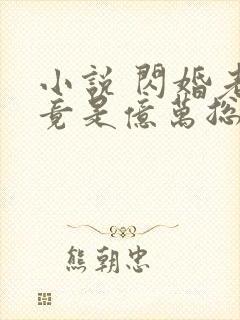 小说 闪婚老公竟是亿万总裁