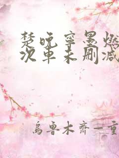 楚晚宁墨燃第一次车未删减