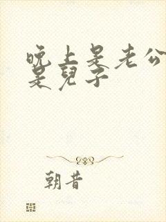 晚上是老公白天是儿子