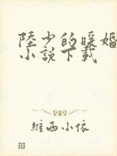 陆少的暖婚新妻小说下载