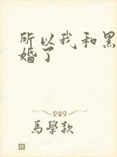 所以我和黑粉结婚了